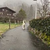 фотография Дмитрий Пушной фотография Дмитрий Пушной