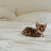 фотография Лиза Марвел фотография Лиза Марвел