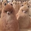 новое фото Лиза Марвел новое фото Лиза Марвел