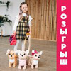 реклама в блоге business_elvin реклама в блоге business_elvin
