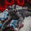 фото на странице Екатерина Глебова фото на странице Екатерина Глебова
