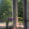 фотография Ксения Жильцова фотография Ксения Жильцова