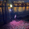 фотография Тимур Еремеев фотография Тимур Еремеев