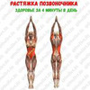 фотография Фитнес Фо Вумен фотография Фитнес Фо Вумен