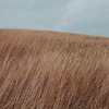 разместить рекламу в блоге Евгений Фист разместить рекламу в блоге Евгений Фист