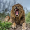 фото на странице Сергей Доля фото на странице Сергей Доля