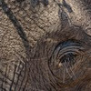 лучшие фото Сергей Доля лучшие фото Сергей Доля