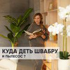 реклама в блоге Ольга Земляная реклама в блоге Ольга Земляная