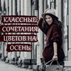 реклама у блогера Анастасия Ерасова реклама у блогера Анастасия Ерасова