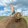 реклама у блогера София Масленникова реклама у блогера София Масленникова