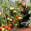 фотография urozhainyi_ogorod фотография urozhainyi_ogorod