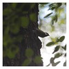новое фото Катарина Снигур новое фото Катарина Снигур