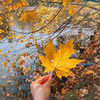 фотография Александра Чеботова фотография Александра Чеботова