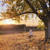 лучшие фото Диана Лакшман лучшие фото Диана Лакшман