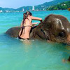 реклама в блоге family_travel8 реклама в блоге family_travel8