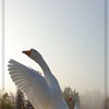 фото на странице moi_sad_yulia фото на странице moi_sad_yulia