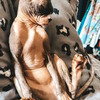 фотография Лена Панда фотография Лена Панда