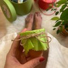 разместить рекламу в блоге tatiana_taran888 разместить рекламу в блоге tatiana_taran888