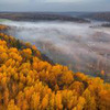 реклама у блогера svetosh_13 реклама у блогера svetosh_13