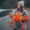 реклама у блогера Ольга Куликова реклама у блогера Ольга Куликова
