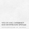 реклама в блоге Марпета реклама в блоге Марпета