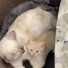 фото на странице ulianaa_ фото на странице ulianaa_