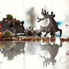 новое фото Анна Феликова новое фото Анна Феликова