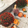новое фото Надя Зотова новое фото Надя Зотова