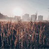 фотография just_vexa фотография just_vexa