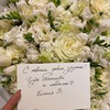новое фото Миша Бертман новое фото Миша Бертман