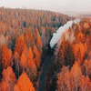 реклама на блоге Айгуль Вишня реклама на блоге Айгуль Вишня
