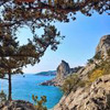 реклама на блоге Нина Нинелли реклама на блоге Нина Нинелли