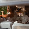 новое фото Александра Шумакова новое фото Александра Шумакова