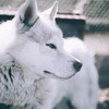 фотография Роман Коршунов фотография Роман Коршунов