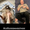 лучшие фото Илья Соболев лучшие фото Илья Соболев