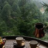 фото Зина Шамоян фото Зина Шамоян