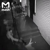 фото на странице Наталья Рудова фото на странице Наталья Рудова