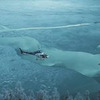 реклама на блоге Ярослав Шураев реклама на блоге Ярослав Шураев