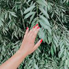 реклама в блоге Brand_in_trend_blog реклама в блоге Brand_in_trend_blog