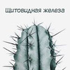 заказать рекламу у блогера Екатерина Psy organic заказать рекламу у блогера Екатерина Psy organic