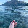 разместить рекламу в блоге amiravanilla разместить рекламу в блоге amiravanilla