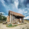 фотография Юлия Биржанова фотография Юлия Биржанова