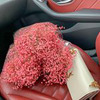 реклама у блогера Марианна Весна реклама у блогера Марианна Весна
