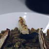 фотография riaboy фотография riaboy