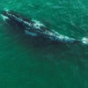 новое фото Юрий Дудь новое фото Юрий Дудь