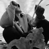фотография Наталья Бантеева фотография Наталья Бантеева
