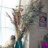 новое фото Катя Добрякова новое фото Катя Добрякова