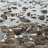 новое фото Алексей Ландырев новое фото Алексей Ландырев