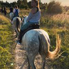 разместить рекламу в блоге Евгения Гришечкина разместить рекламу в блоге Евгения Гришечкина