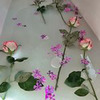 фотография Алина Вельниковская фотография Алина Вельниковская